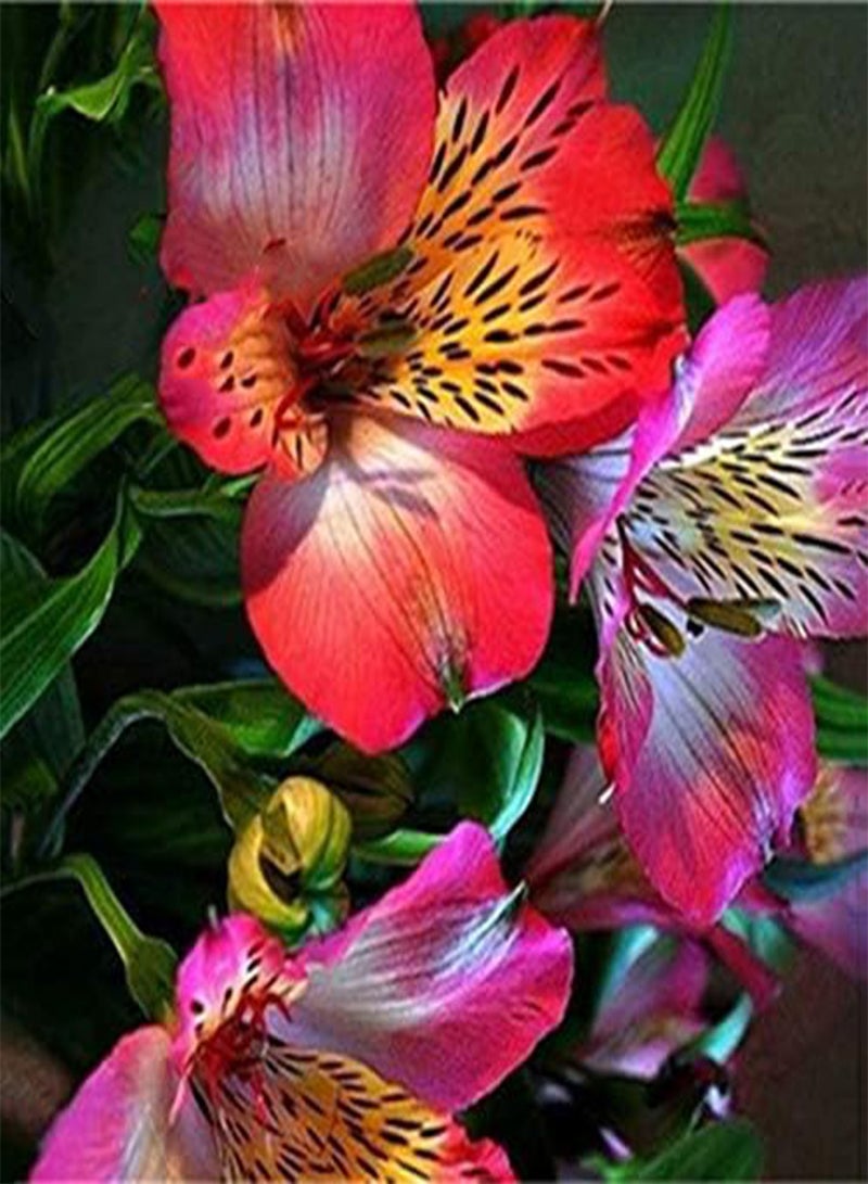 GGOOT 100PCS/Pack Lily Seeds Rare Peruvian Lily Alstroemeria Bonsai Plants Mix-Color Beautiful Lilies Flower For Home & Garden Decoration - 3 - Image 2