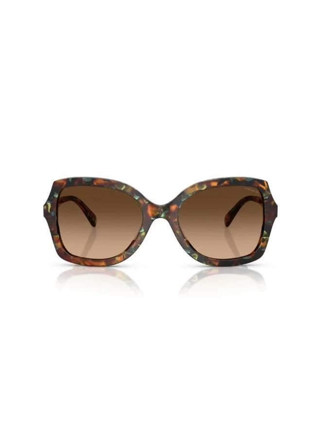 COACH 0Hc8410U Oversized Sunglasses