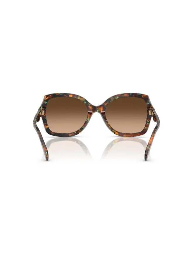 COACH 0Hc8410U Oversized Sunglasses
