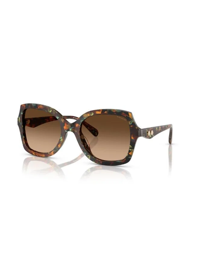 COACH 0Hc8410U Oversized Sunglasses