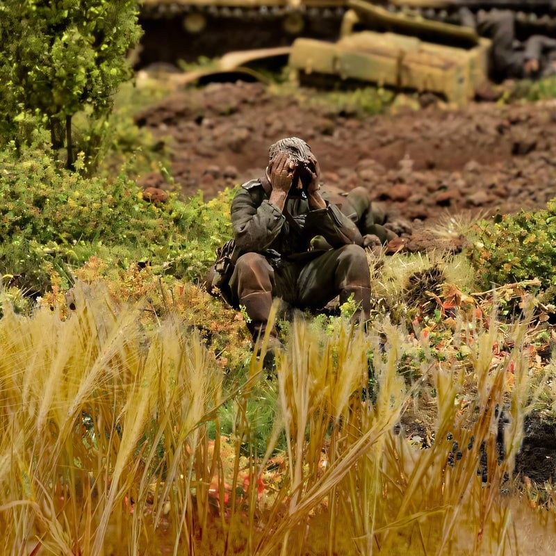 Warmtree Static Grass - Miniature Shrubs & Grass Model for Diorama Supplies, Train Landscape, Military Layout - Image 3