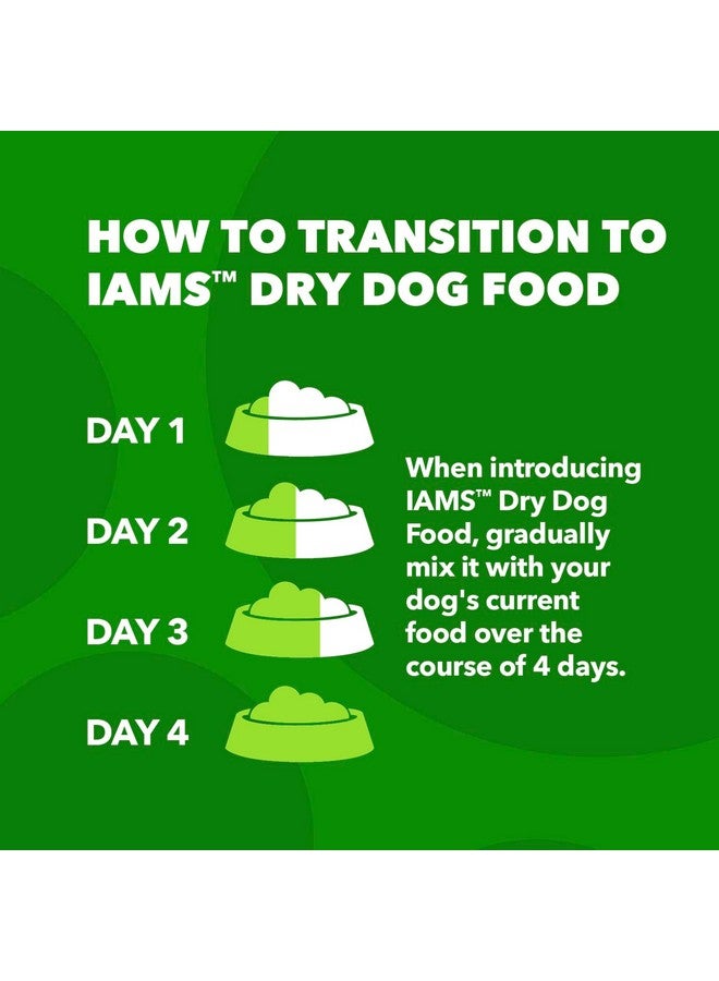 IAMS Proactive Health Adult Dry Dog Food Beef and Rice Recipe, 7 lb. Bag - Image 2