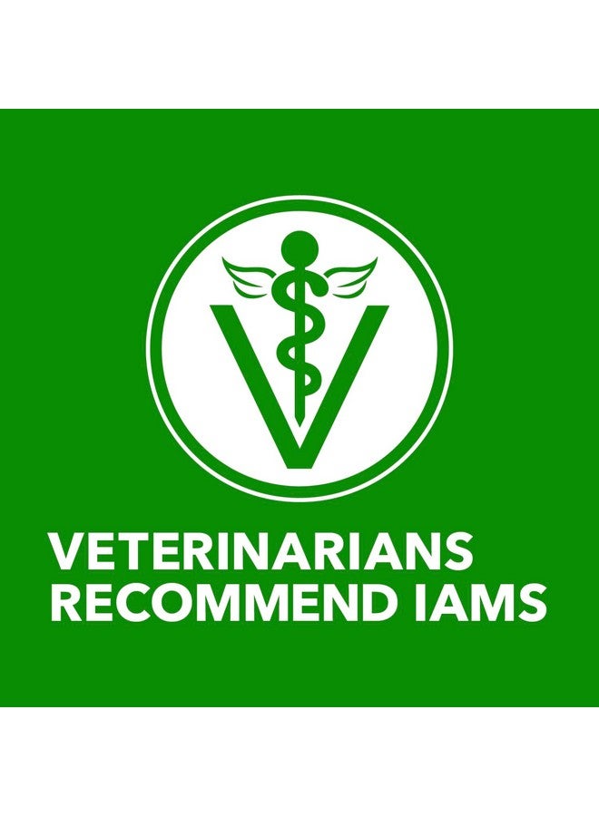 IAMS Proactive Health Adult Dry Dog Food Beef and Rice Recipe, 7 lb. Bag - Image 3