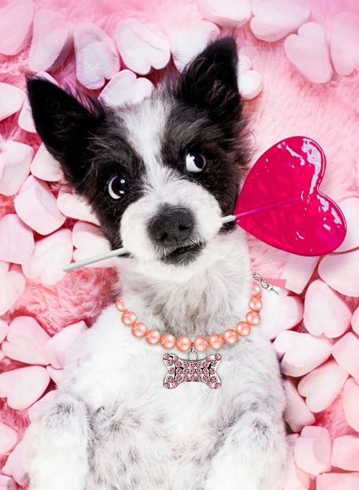 SYOSI Dog Collar and Puppy Hair Accessories, 4 Pack Pearl Pet Necklace for Small Dogs Girl Barrette Crystal Rhinestone Cat Grooming Products  - Image 4