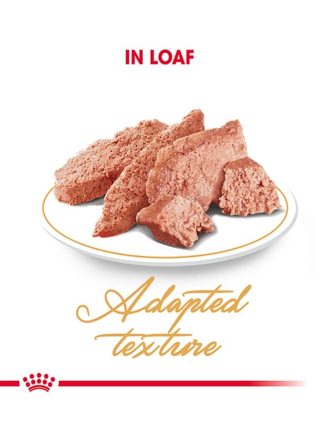 رويال كانين تغذية سلالة القطط الفارسية الأغذية الرطبة  الأكياس - Image 4