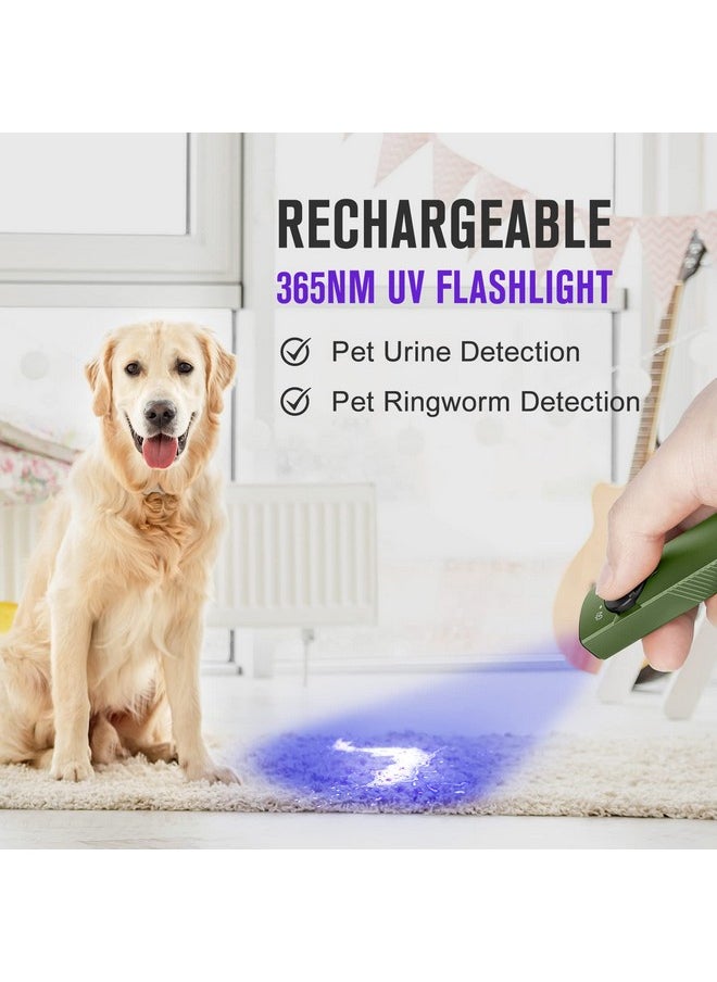 OLIGHT OLIGHT Arkfeld UV Rechargeable EDC Flashlight, 1000 Lumens White LED and 365nm Blacklight Combo for Outdoors, Emergency, Working, Pet Urine Detection (OD Green CW)  - Image 3