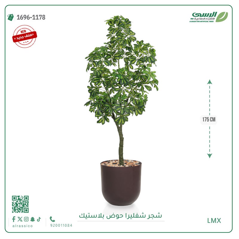 Alrassi Artificial Schefflera Tree in Cylindrical Plastic Pot 175 cm - Image 2
