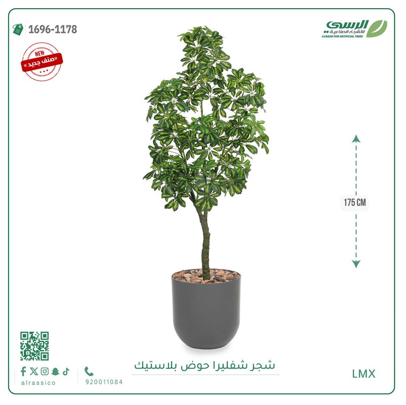 Alrassi Artificial Schefflera Tree in Cylindrical Plastic Pot 175 cm - Image 1