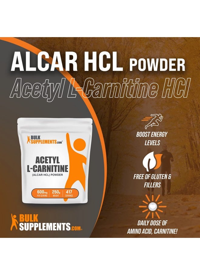 BULKSUPPLEMENTS.COM - Acetyl Lcarnitine Powder Alcar Hcl Alcar 600Mg Alcar Powder Carnitine Supplement Carnitine Powder Acetyllcarnitine 600Mg Per Serving (250 Grams 8.8 Oz) - Image 1