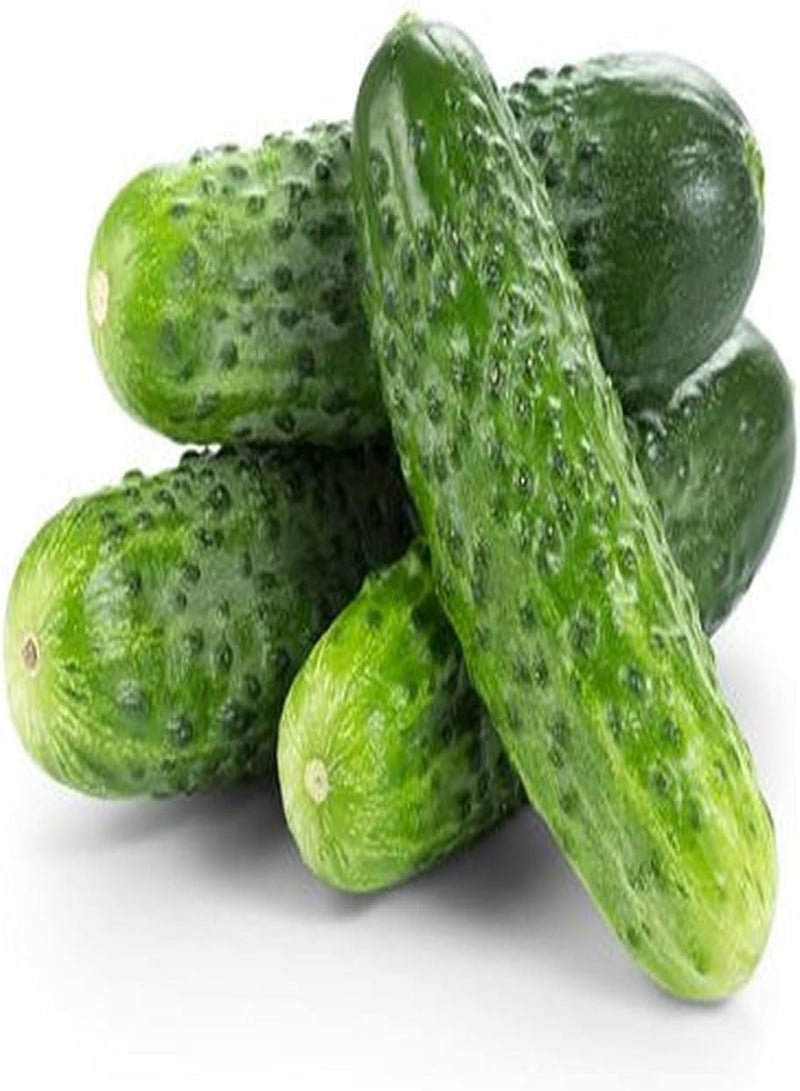 GGOOT 200Pcs Cucumber Seeds Annual Climbing Vines Unique Gardening Decoration Planting in Outdoor Farm Enjoy Rural Scenery - Image 1