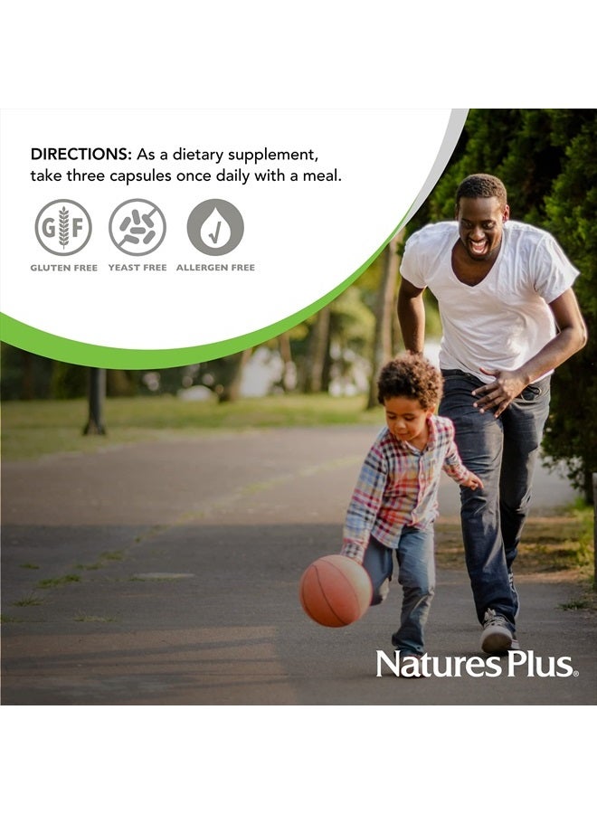 Natures Plus NaturesPlus Activated Coral Calcium - 345 mg, 90 Vegetarian Capsules - Natural Calcium Supplement with Magnesium & Vitamins, Supports Bone Health - Hypoallergenic, Gluten-Free - 30 Servings - Image 5