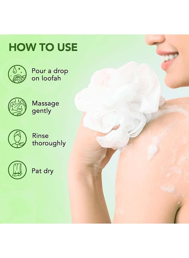 Botanic Hearth Tea Tree Body Wash Helps Soothe Itchy, Dry Skin, Antifungal Body Wash With 100% Pure Tea Tree Oil | Sulfate Free, Paraben Free, For Men And Women - Image 5