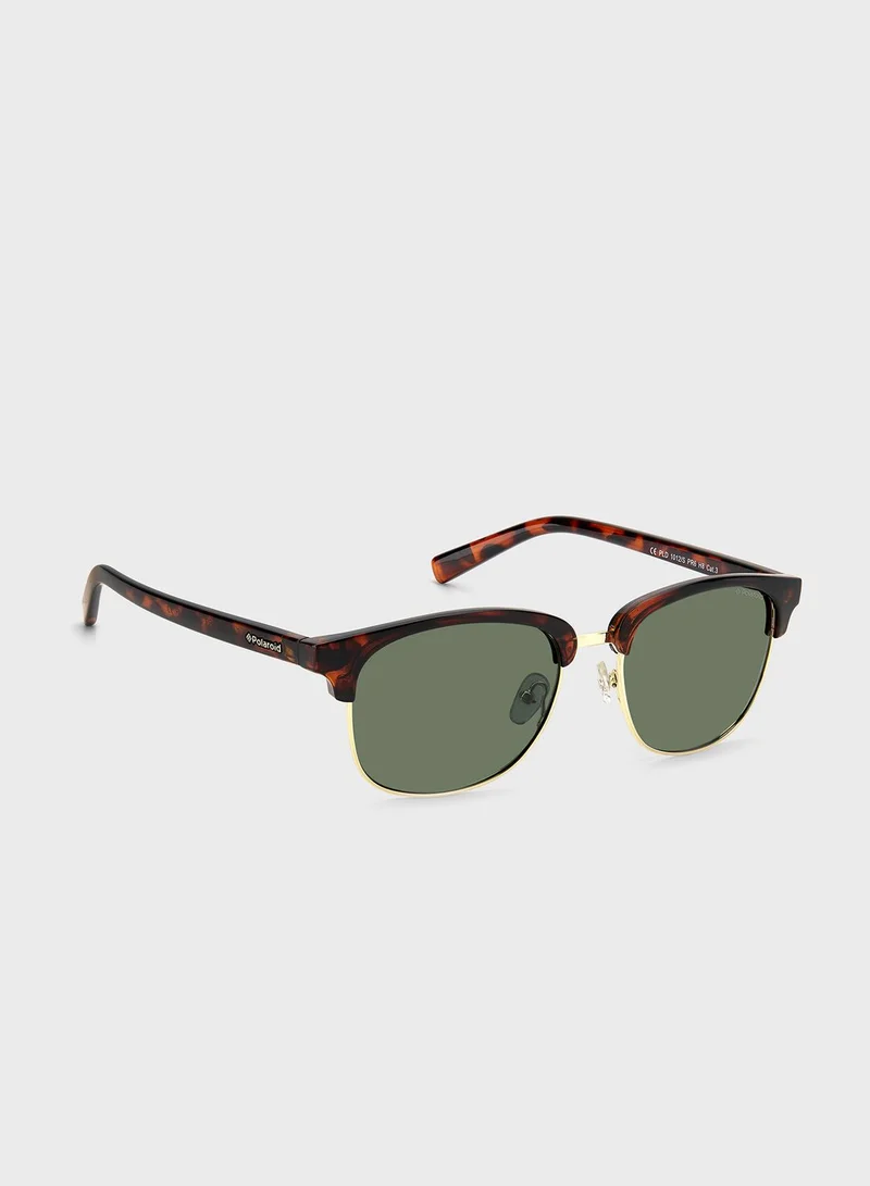Polaroid Clubmaster Sunglasses