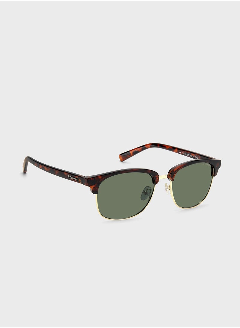 Polaroid - Clubmaster Sunglasses - Image 1