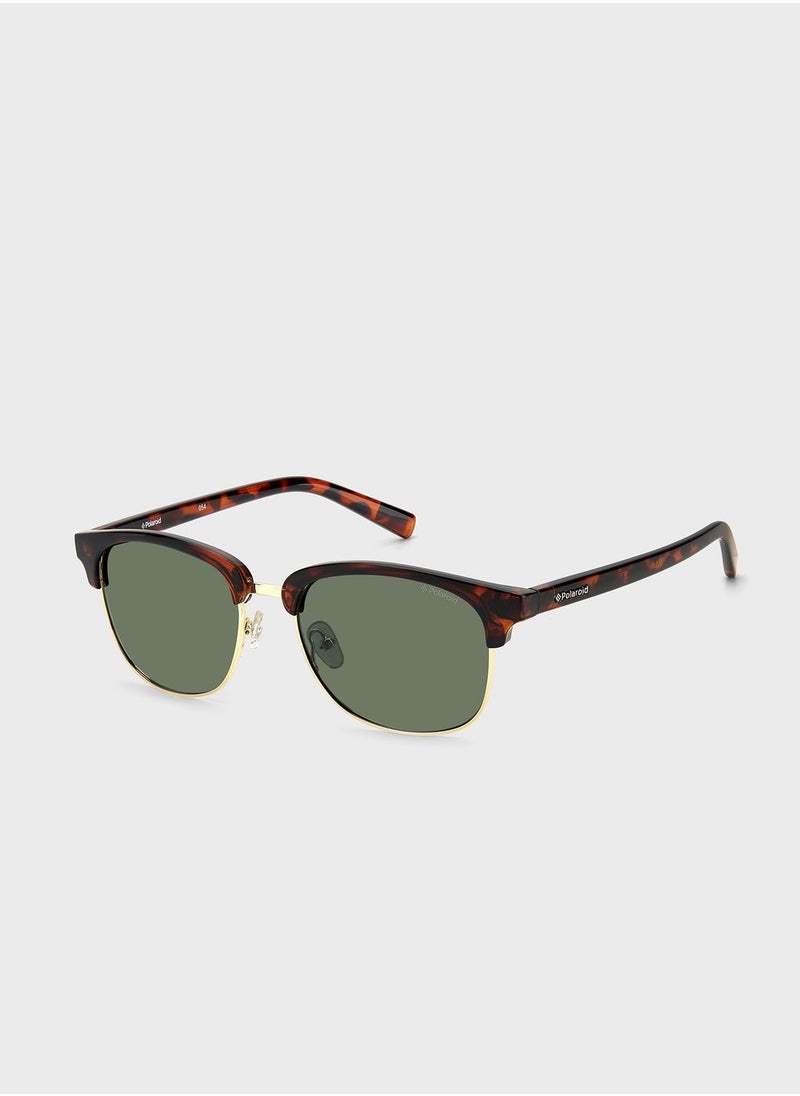 Polaroid - Clubmaster Sunglasses - Image 1
