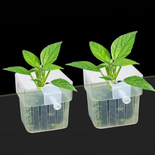 SANSEFERO Water Plant Holder Pot Cup for Aquarium Fish Tank Decoration and Aquascape Aquaponic Plant Growing Landscape Plants Cup Decoration Hanging Type (Pack of 2) - Image 1