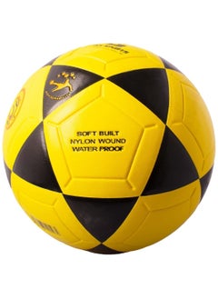 Leather Inflatable Football  Size 5 - pzsku/ZB5A7EB1B4BB2454FD6DCZ/45/_/1738490432/3a650d6f-6f56-4012-9e00-76742d143077