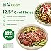 biocean 125 Inch Compostable Oval Plates 125Value Pack Sustainable and HeavyDuty Compostable Paper Plates Natural Sugarcane Bagasse Biodegradable Plate Natural Brown - Image 4