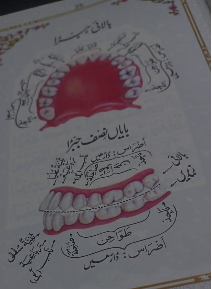 Tajweed Quran in Urdu script, colored letters, large size 17*24 - Image 5