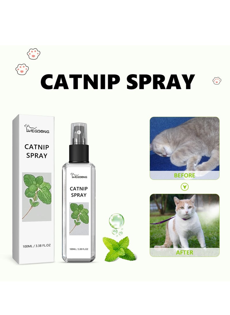 Catnip Mist Spray, Joycat Spray, Herbal Cat Joy Spray, Catnip Spray for Indoor Cats 100ml