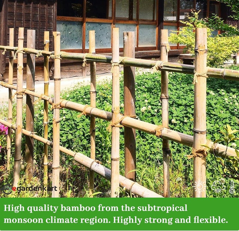 Egardenkart عصي البامبو من إي غاردن كارت للنباتات - 120 سم، 5 قطع | عصي حديقة لدعم قوي | عصي نبات طويلة لدعم النباتات (رفيعة، 5 قطع، 120 سم) - Image 5
