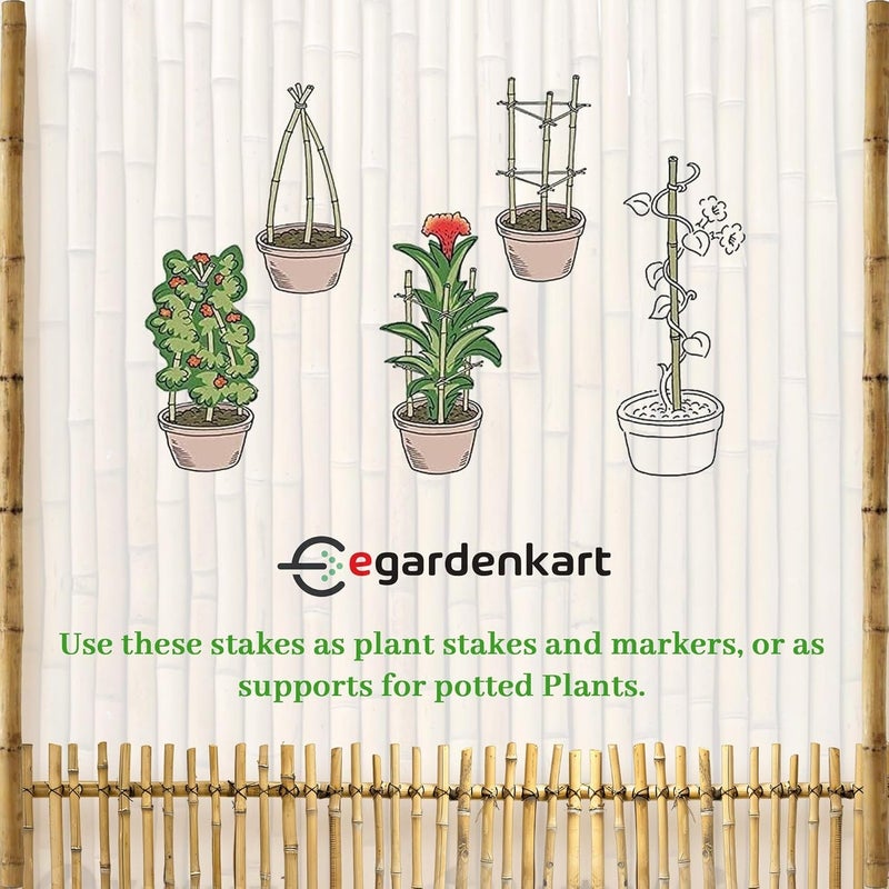 Egardenkart عصي البامبو من إي غاردن كارت للنباتات - 120 سم، 5 قطع | عصي حديقة لدعم قوي | عصي نبات طويلة لدعم النباتات (رفيعة، 5 قطع، 120 سم) - Image 4