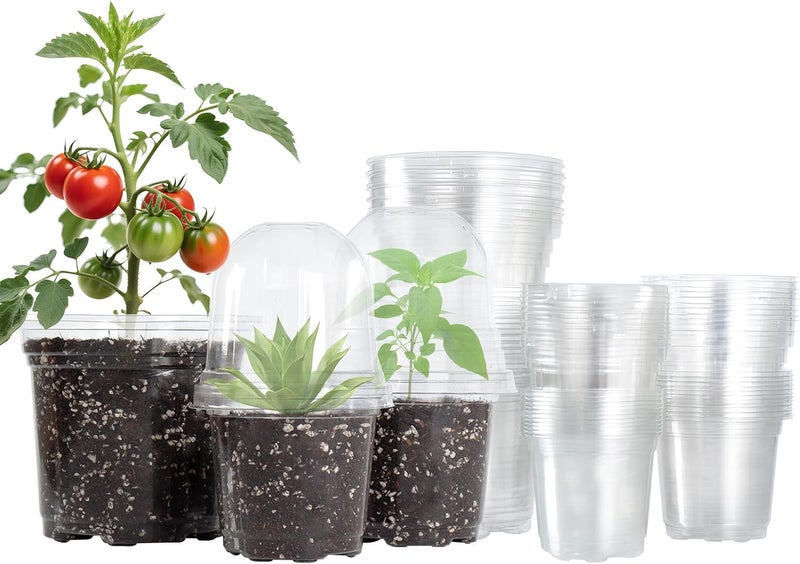 Bluepro 36 Packs 5/4/3.5 Inch Clear Nursery Pots with Humidity Domes, Transparent Plant Pots with Drainage Holes, Variety Pack Seed Starting Pots for Succulents, Flowers and Cactus - Image 1