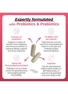 VetriScience Laboratories Vetri Mega Probiotics For Dogs & Cats, 7.5 Billion Cfu  8Strain Cat & Dog Probiotics For Digestive Health, Gut Health, Immune Support & Seasonal Allergies  120 Capsules  - Image 3