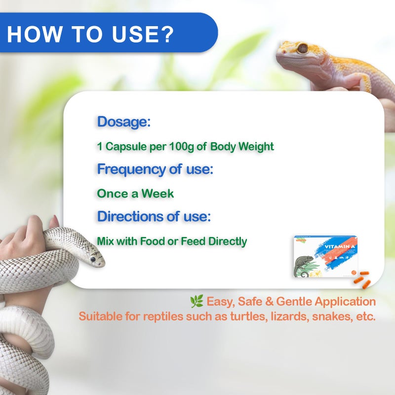 NUTRIARISE Reptile Vitamin A Supplement - Eye Health Support for Lizards, Turtles, Snakes & Amphibians - Promotes Growth, Vision & Immunity - Image 4