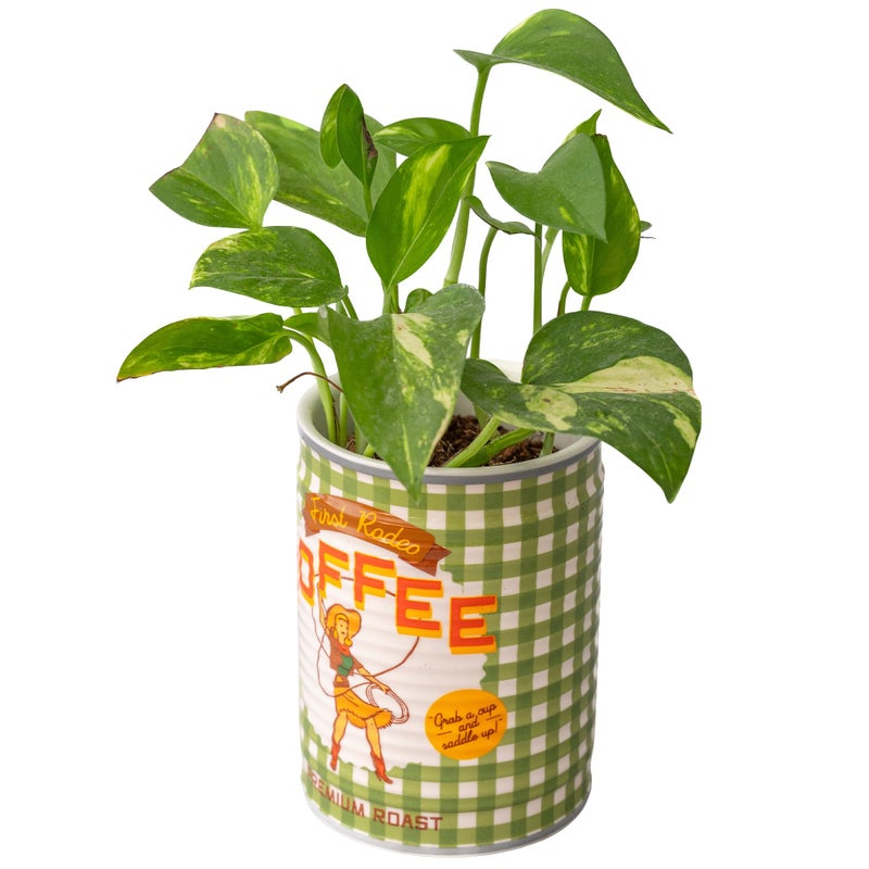 ban.do Novelty Ceramic Planter with Drainage Hole, Decorative Plant Pot, Planters for Indoor Plants, Cute Decor, Unique Planter, Coffee Can - Image 3