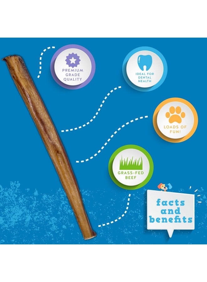 Jack&Pup Jumbo 12" Bully Sticks For Dogs | Odor Free Bully Sticks For Large Dogs | All Natural Beef Pizzle Sticks (12" Jumbo, 3 Pack) - Image 2