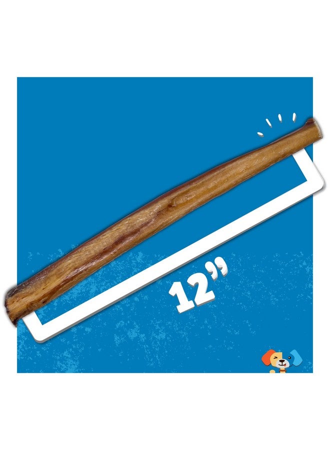 Jack&Pup Jumbo 12" Bully Sticks For Dogs | Odor Free Bully Sticks For Large Dogs | All Natural Beef Pizzle Sticks (12" Jumbo, 3 Pack) - Image 4