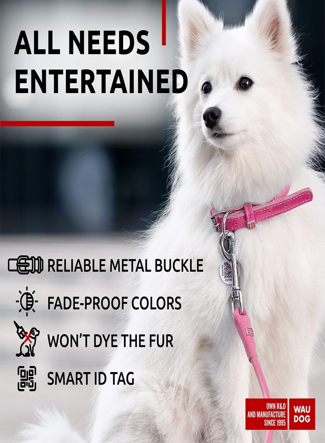 WAUDOG Ultra Soft Rolled Leather Dog Collar - Soft Padded for Small and Medium Breeds - Puppy Collar for Male and Female Dogs - Image 5