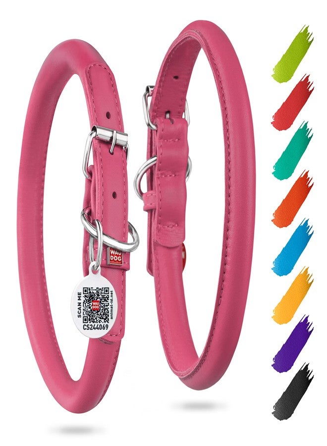 WAUDOG Ultra Soft Rolled Leather Dog Collar - Soft Padded for Small and Medium Breeds - Puppy Collar for Male and Female Dogs - Image 1