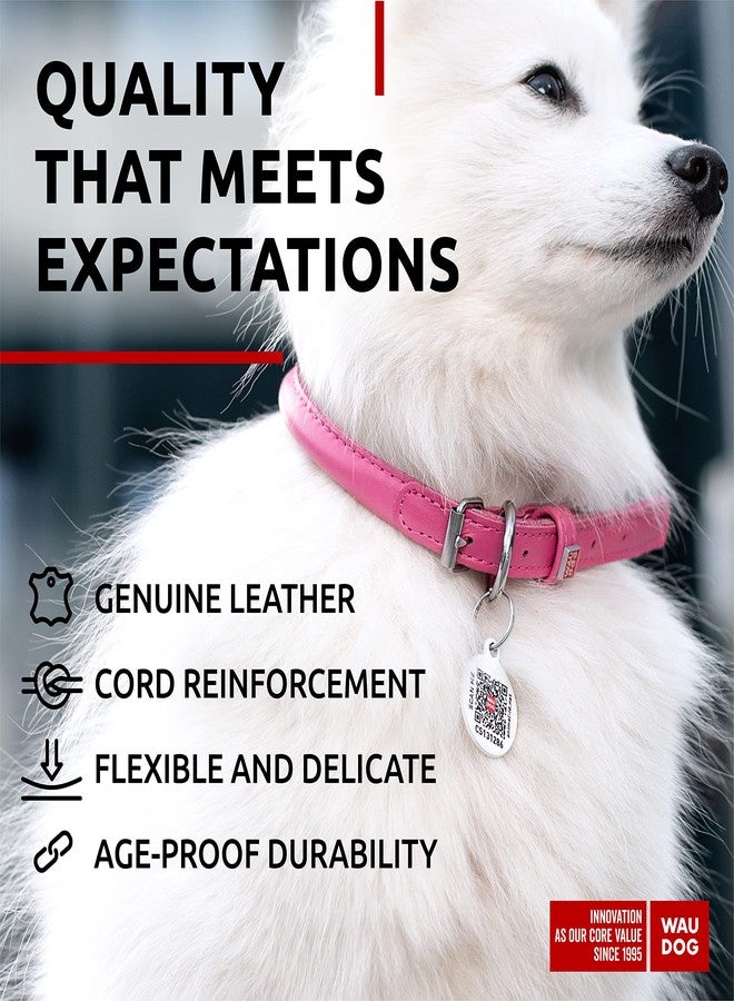 WAUDOG Ultra Soft Rolled Leather Dog Collar - Soft Padded for Small and Medium Breeds - Puppy Collar for Male and Female Dogs - Image 4