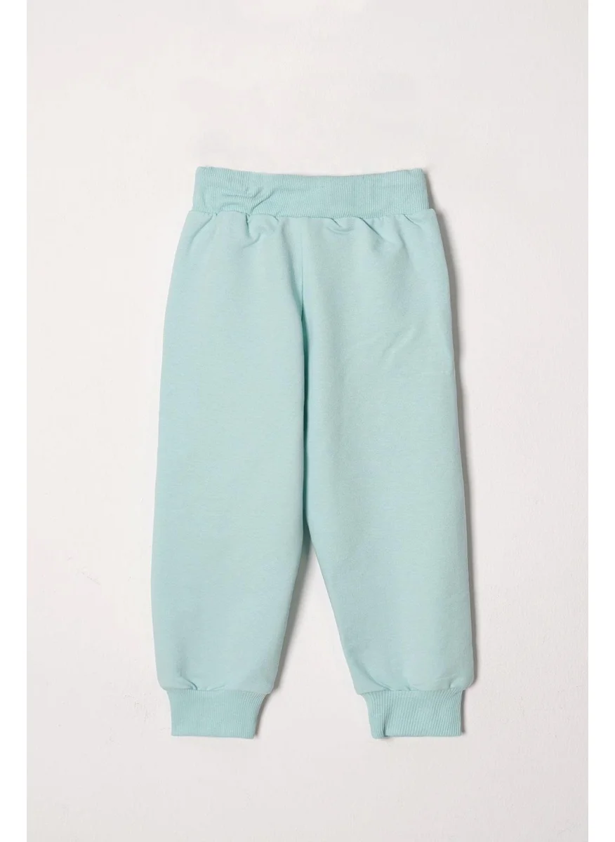 أكار Crew Neck Long Sleeve Daisy Embroidered Mint Color Girl Tracksuit
