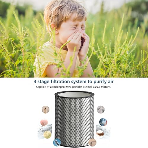 FilledwithLove 972132-01 H13 Grade Glass Big HEPA Filter Compatible for Dyson Purifier BP03 and BP04 (Big), Airborne Wildfire, Smoke, Pollen, Pet Dander, and Dust - Image 3
