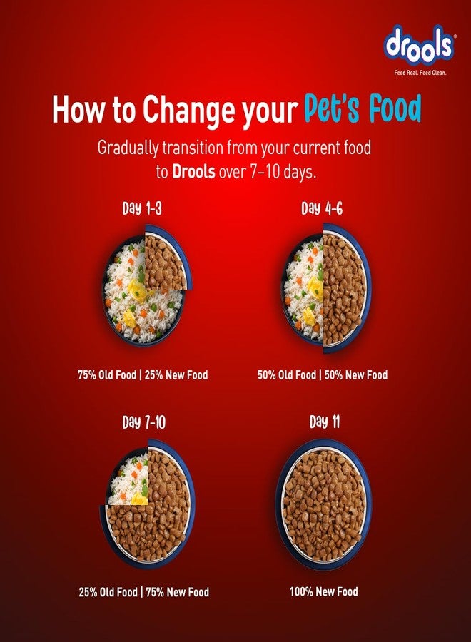 Drools Adult Dry Dog Food 1kg | Fish and Rice Flavour | Fish & Rice Formula | Gentle on Gut | Helps Maintain Strong Muscles and Vitality | Organic Chelated Minerals - Image 5