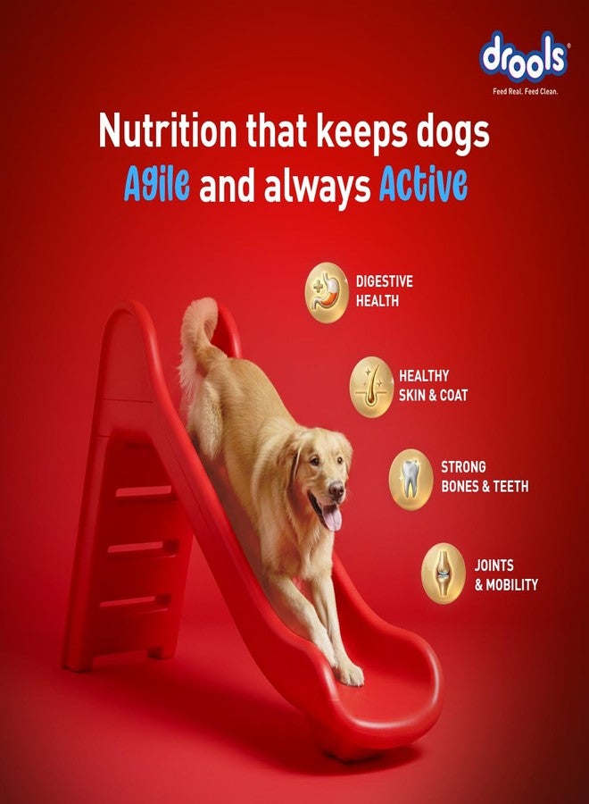 Drools Adult Dry Dog Food 1kg | Fish and Rice Flavour | Fish & Rice Formula | Gentle on Gut | Helps Maintain Strong Muscles and Vitality | Organic Chelated Minerals - Image 4