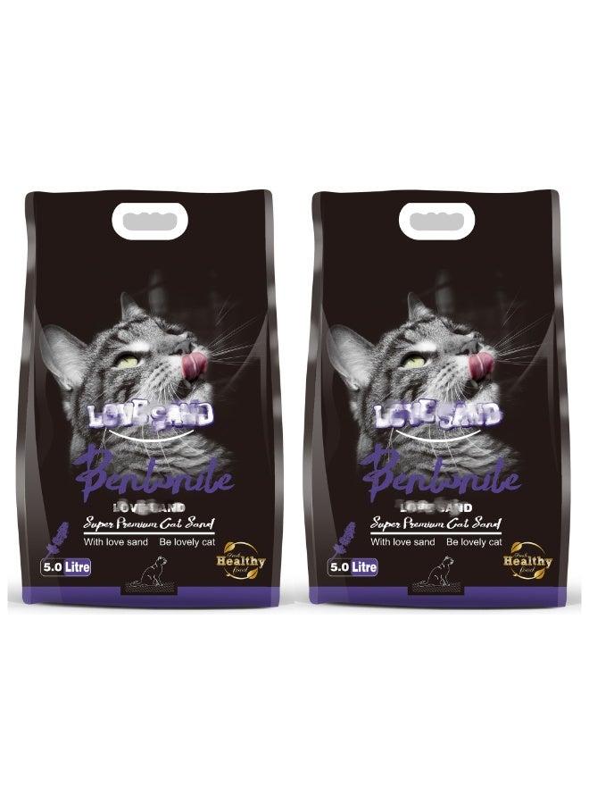 Bentonite Cat Litter - Fast Clumping, Ultra Absorbent, Low Dust, Fresh Scented, Odor Control, 5L, 2 Pack - Image 1