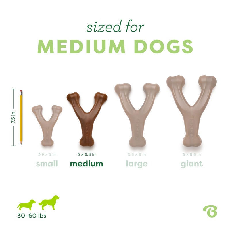 Benebone Peanut Butter Flavored Wishbone Chew Toy - Image 4
