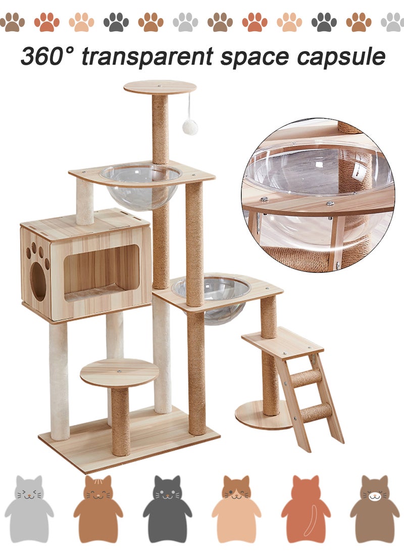 Kidle One-Piece Large Cat Climbing Frame Cat Tree Cat Apartment Cat Jumping Platform Cat Scratching Board Cat Nest Sisal Cat Scratching Post with Bed Transparent Space Capsule Cat Tower for Indoor  - Image 4