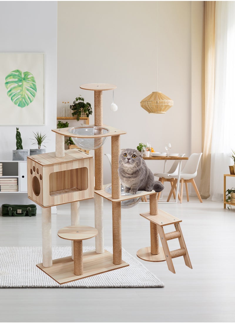Kidle One-Piece Large Cat Climbing Frame Cat Tree Cat Apartment Cat Jumping Platform Cat Scratching Board Cat Nest Sisal Cat Scratching Post with Bed Transparent Space Capsule Cat Tower for Indoor  - Image 5
