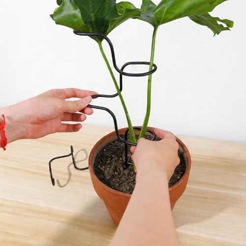 GOOOXIM 3PCS Indoor Plant Support Stakes - Sturdy Metal Trellis for Garden Flowers & Monstera, Durable & Easy to Use, Perfect for Small to Medium Indoor Plants, Ideal Gift for Plant Lovers! - Image 5