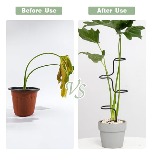 GOOOXIM 3PCS Indoor Plant Support Stakes - Sturdy Metal Trellis for Garden Flowers & Monstera, Durable & Easy to Use, Perfect for Small to Medium Indoor Plants, Ideal Gift for Plant Lovers! - Image 3