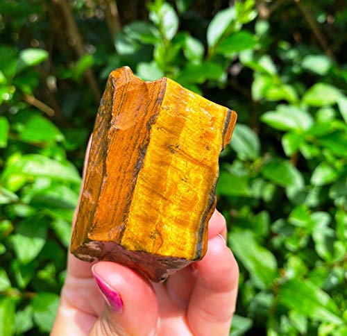 Zenkeeper 1Lb Natural Raw Tiger Eyes Crystal Stone, Rough Tiger Eye Gemstone, Gold Tiger Eyes Rocks for Crystal Healing Meditation Reiki Stone - Image 5