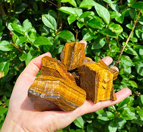 Zenkeeper 1Lb Natural Raw Tiger Eyes Crystal Stone, Rough Tiger Eye Gemstone, Gold Tiger Eyes Rocks for Crystal Healing Meditation Reiki Stone - Image 2