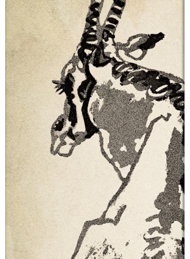 Solitary Oryx (Alistair Bell Collection) Midi Lined Hardcover Journal (Elastic Band Closure)