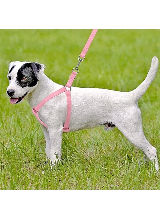 مقود عاكس من النايلون المتين مقاس 15 مم مع مجموعة أحزمة نايلون قابلة للتعديل مقاس 0.5 بوصة مثالية للمشي في الهواء الطلق للكلاب الصغيرة والمتوسطة الحجم - Image 2