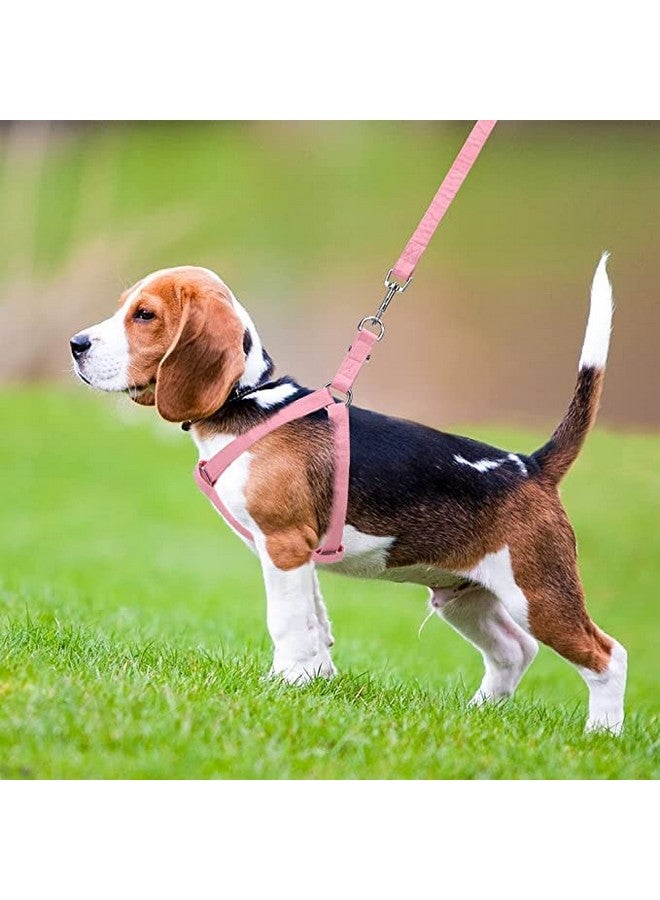 مقود عاكس من النايلون المتين مقاس 15 مم مع مجموعة أحزمة نايلون قابلة للتعديل مقاس 0.5 بوصة مثالية للمشي في الهواء الطلق للكلاب الصغيرة والمتوسطة الحجم - Image 1